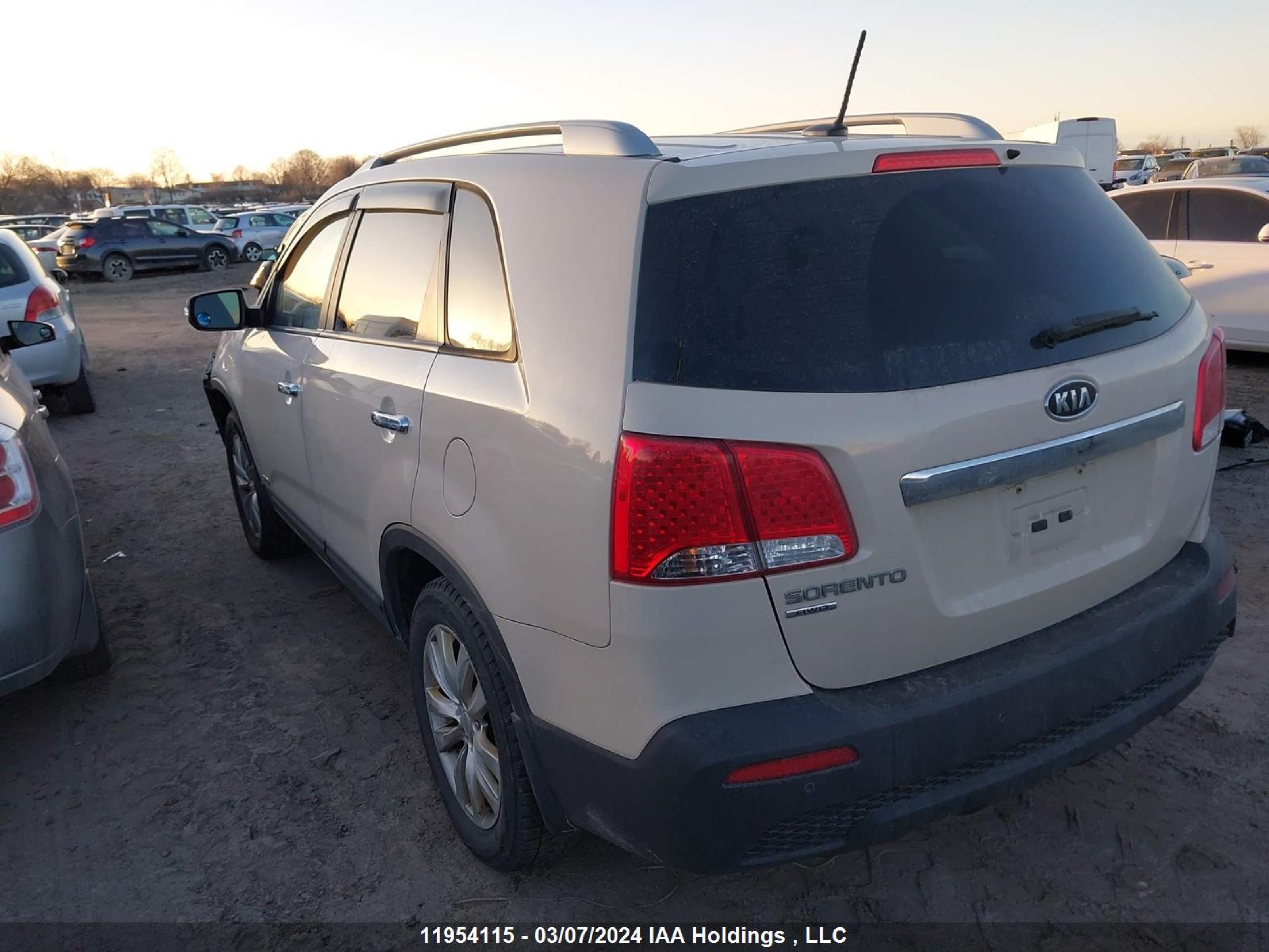 Photo 2 VIN: 5XYKTDA27BG153169 - KIA SORENTO 