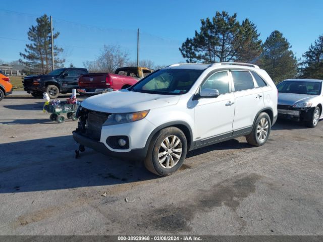 Photo 1 VIN: 5XYKTDA27BG156508 - KIA SORENTO 