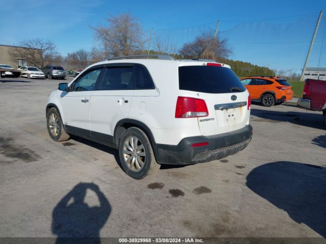 Photo 2 VIN: 5XYKTDA27BG156508 - KIA SORENTO 