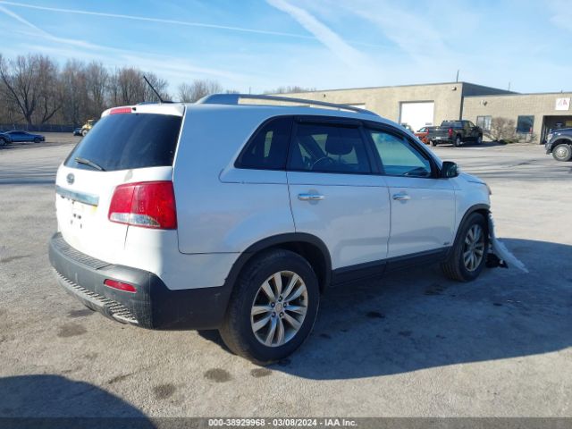 Photo 3 VIN: 5XYKTDA27BG156508 - KIA SORENTO 