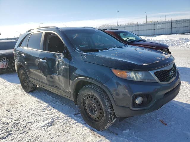 Photo 3 VIN: 5XYKTDA28BG160230 - KIA SORENTO 