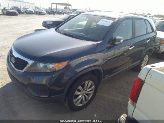 Photo 1 VIN: 5XYKTDA28BG174550 - KIA SORENTO 