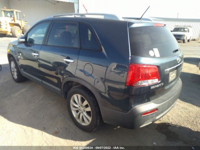 Photo 2 VIN: 5XYKTDA28BG174550 - KIA SORENTO 