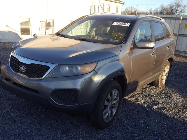 Photo 1 VIN: 5XYKTDA28BG176329 - KIA SORENTO BA 