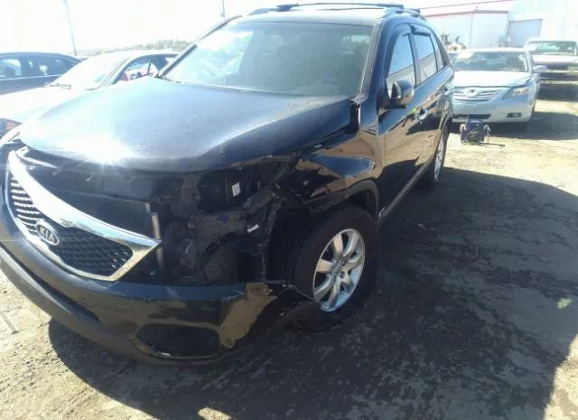 Photo 5 VIN: 5XYKTDA28DG323901 - KIA SORENTO 