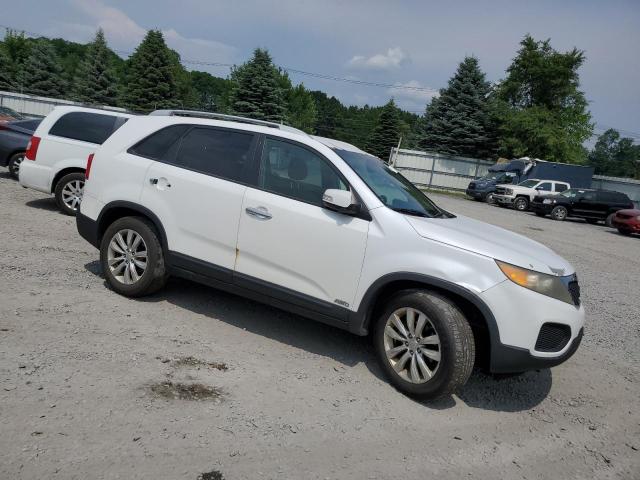 Photo 3 VIN: 5XYKTDA29BG092150 - KIA SORENTO 