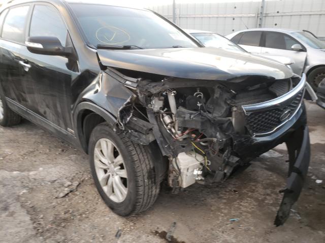 Photo 8 VIN: 5XYKTDA29BG177246 - KIA SORENTO BA 