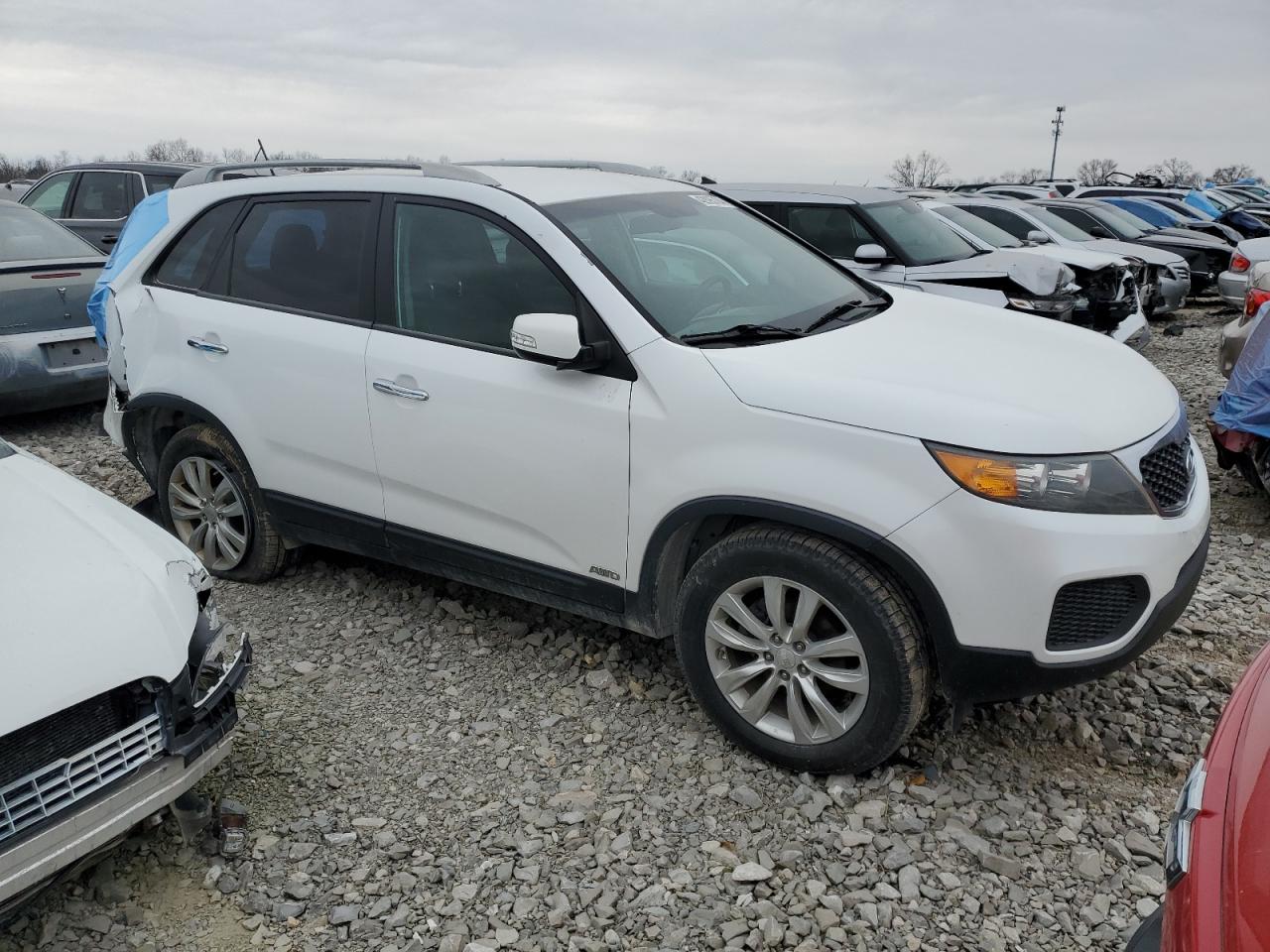 Photo 3 VIN: 5XYKTDA2XBG086650 - KIA SORENTO 