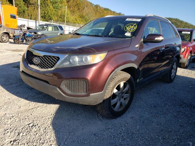 Photo 1 VIN: 5XYKTDA2XDG344880 - KIA SORENTO LX 