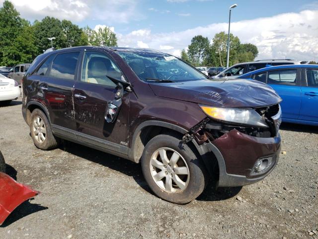 Photo 3 VIN: 5XYKTDA61DG392612 - KIA SORENTO 