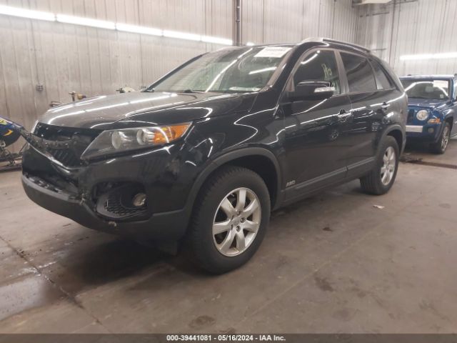 Photo 1 VIN: 5XYKTDA61DG410204 - KIA SORENTO 