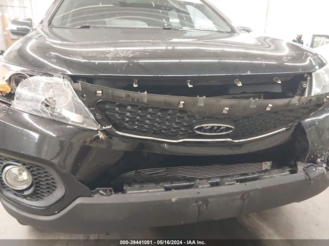 Photo 5 VIN: 5XYKTDA61DG410204 - KIA SORENTO 