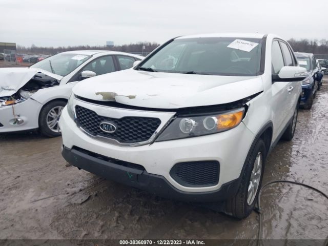 Photo 5 VIN: 5XYKTDA63CG290274 - KIA SORENTO 