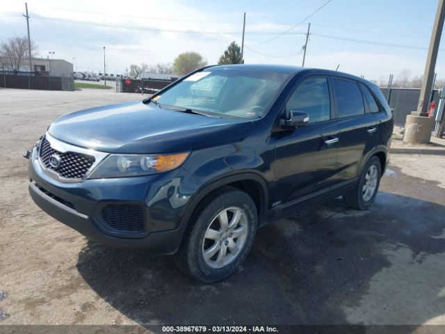 Photo 1 VIN: 5XYKTDA63DG332184 - KIA SORENTO 