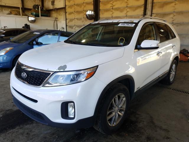 Photo 1 VIN: 5XYKTDA63EG516588 - KIA SORENTO LX 