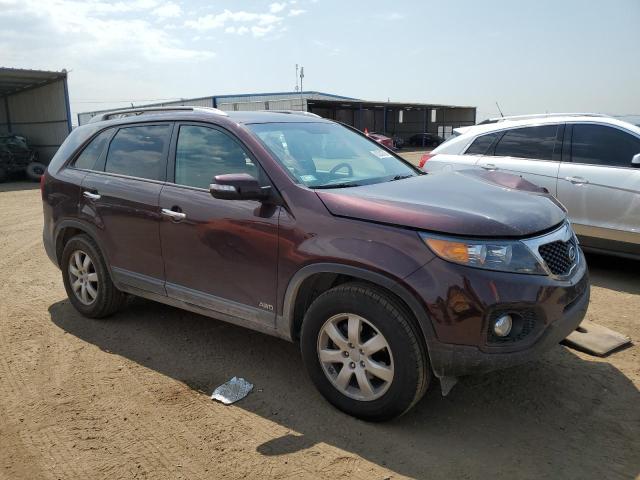 Photo 3 VIN: 5XYKTDA67DG395823 - KIA SORENTO 