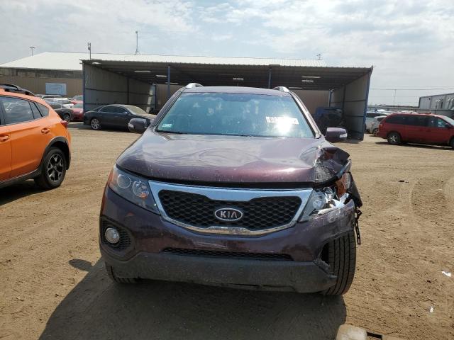 Photo 4 VIN: 5XYKTDA67DG395823 - KIA SORENTO 