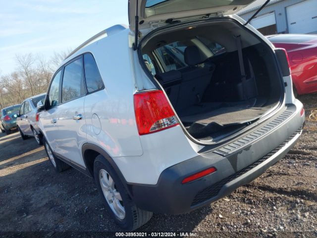 Photo 2 VIN: 5XYKTDA68CG254709 - KIA SORENTO 