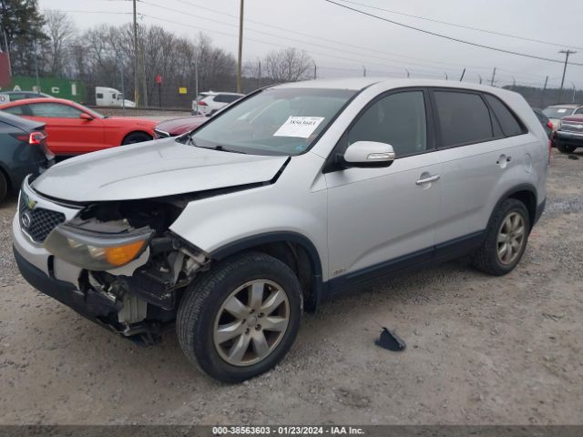 Photo 1 VIN: 5XYKTDA69DG375315 - KIA SORENTO 