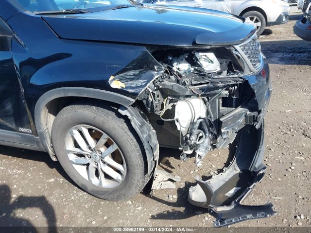 Photo 5 VIN: 5XYKTDA70EG462448 - KIA SORENTO 