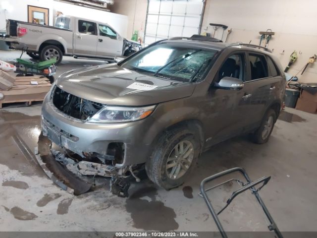 Photo 1 VIN: 5XYKTDA72FG613226 - KIA SORENTO 