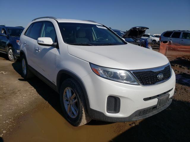 Photo 0 VIN: 5XYKTDA77FG607079 - KIA SORENTO LX 