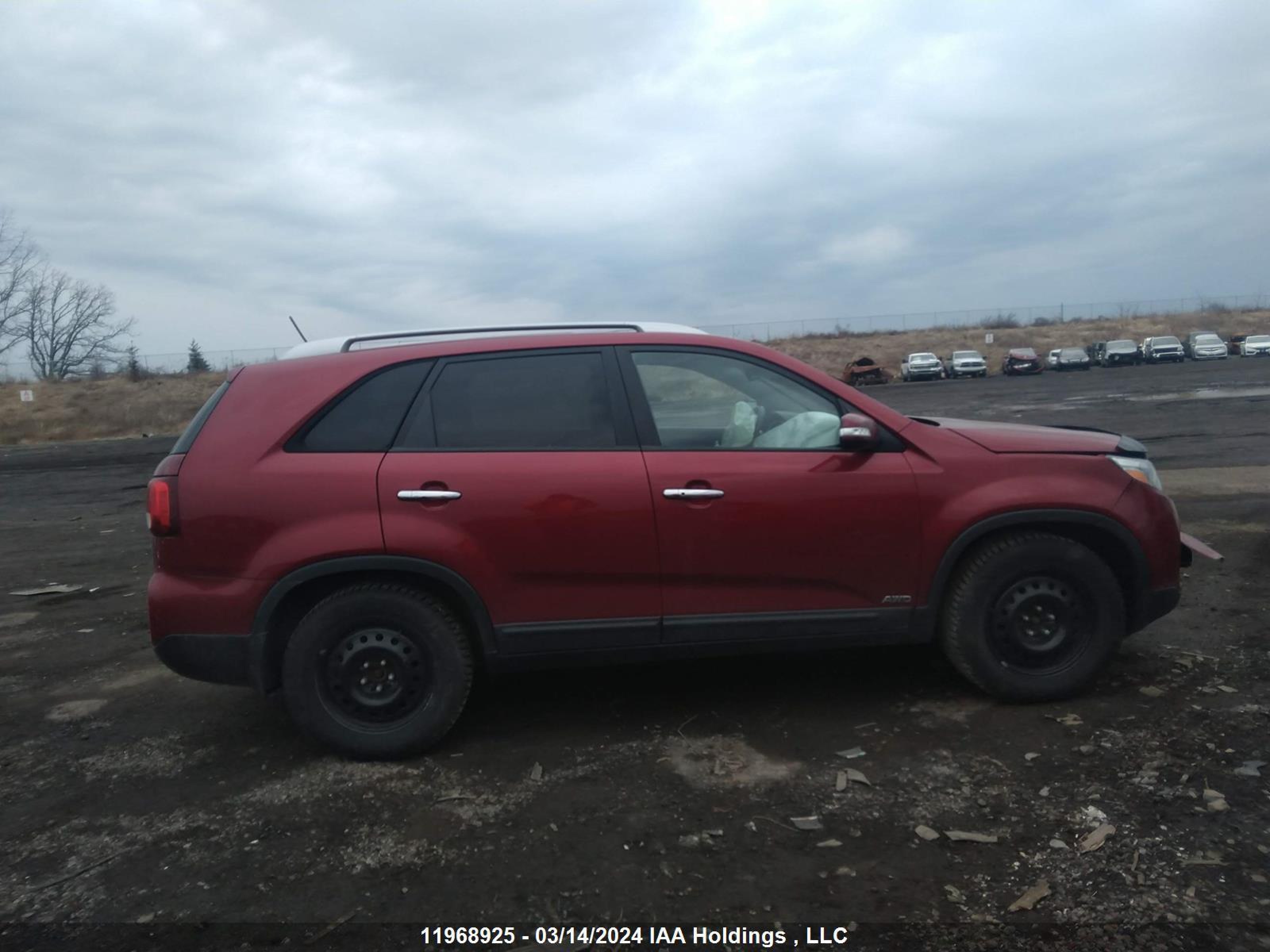 Photo 11 VIN: 5XYKTDA78EG508186 - KIA SORENTO 