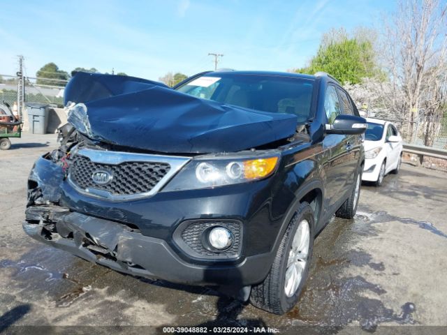 Photo 1 VIN: 5XYKU3A12BG103505 - KIA SORENTO 