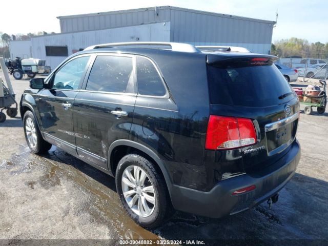 Photo 2 VIN: 5XYKU3A12BG103505 - KIA SORENTO 