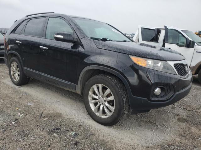 Photo 3 VIN: 5XYKU3A16BG006260 - KIA SORENTO 