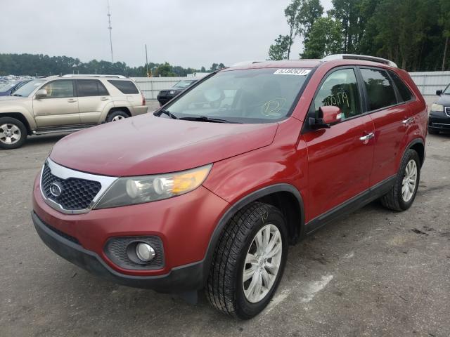 Photo 1 VIN: 5XYKU3A16BG071562 - KIA SORENTO EX 