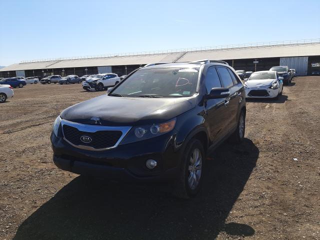 Photo 1 VIN: 5XYKU3A1XBG033851 - KIA SORENTO EX 