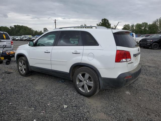 Photo 1 VIN: 5XYKU3A62DG385949 - KIA SORENTO EX 