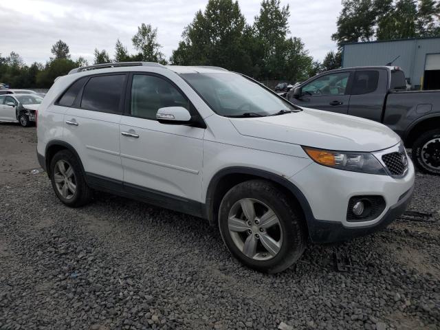 Photo 3 VIN: 5XYKU3A62DG385949 - KIA SORENTO EX 