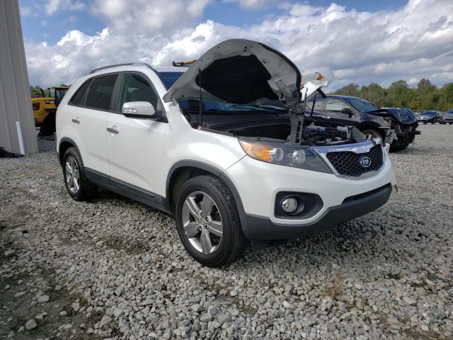 Photo 0 VIN: 5XYKU3A62DG408338 - KIA SORENTO EX 