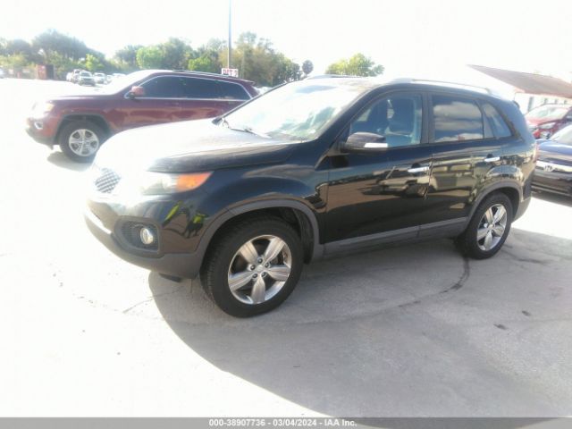 Photo 1 VIN: 5XYKU3A66DG409119 - KIA SORENTO 