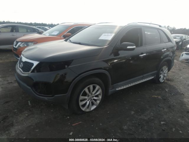 Photo 1 VIN: 5XYKU4A10BG147508 - KIA SORENTO 