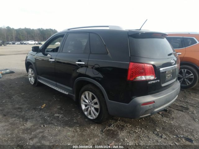 Photo 2 VIN: 5XYKU4A10BG147508 - KIA SORENTO 