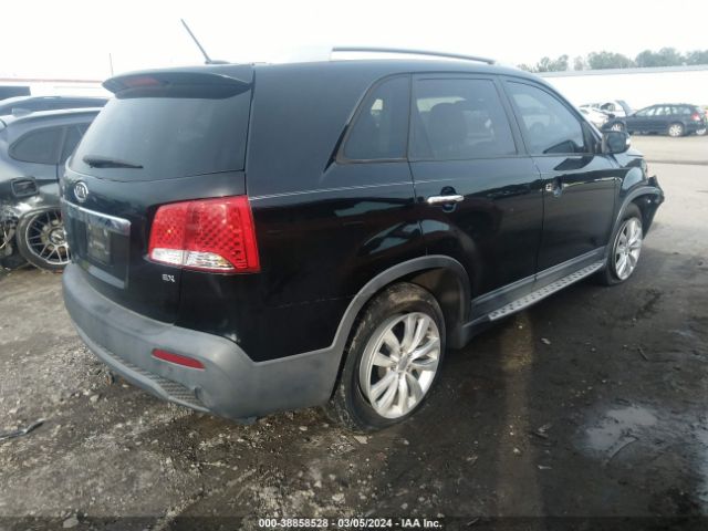 Photo 3 VIN: 5XYKU4A10BG147508 - KIA SORENTO 