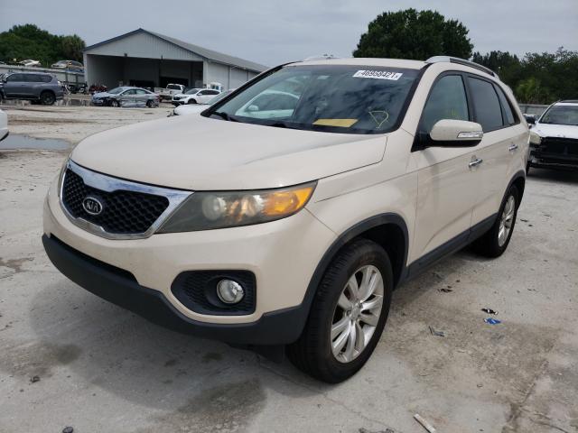 Photo 1 VIN: 5XYKU4A18BG146994 - KIA SORENTO EX 