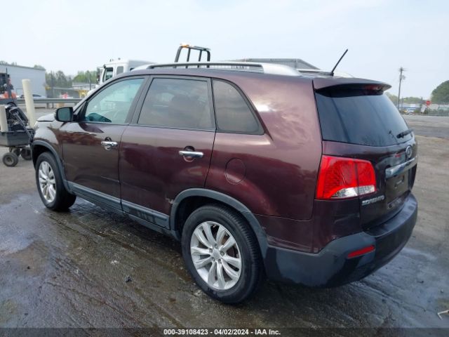 Photo 2 VIN: 5XYKU4A1XBG021608 - KIA SORENTO 