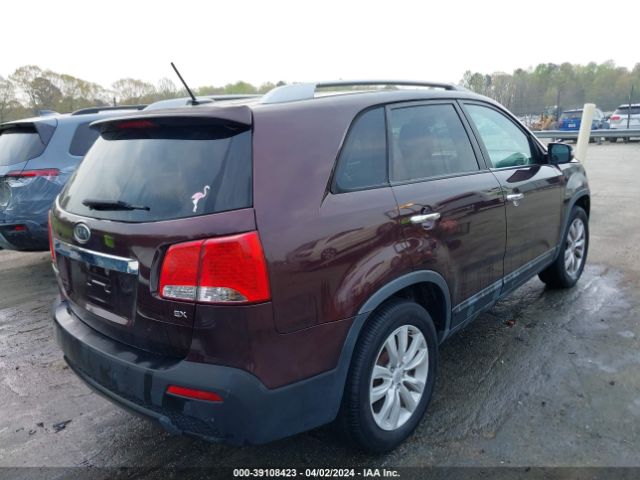 Photo 3 VIN: 5XYKU4A1XBG021608 - KIA SORENTO 