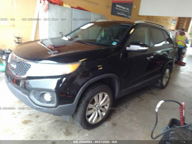 Photo 1 VIN: 5XYKU4A1XBG114600 - KIA SORENTO 