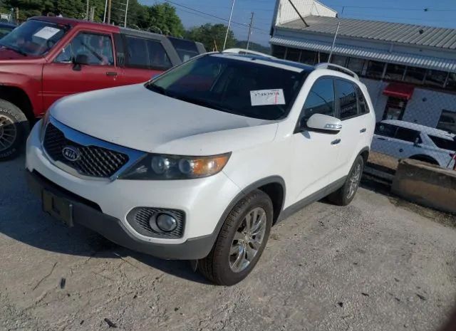 Photo 1 VIN: 5XYKU4A20BG045358 - KIA SORENTO 