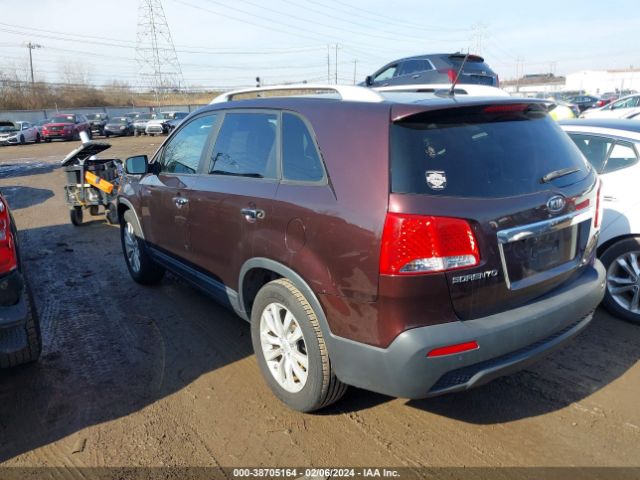 Photo 2 VIN: 5XYKU4A20BG081163 - KIA SORENTO 