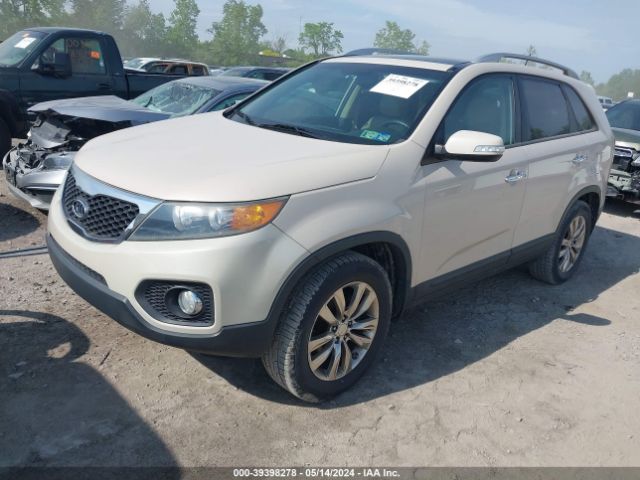 Photo 1 VIN: 5XYKU4A21BG053324 - KIA SORENTO 