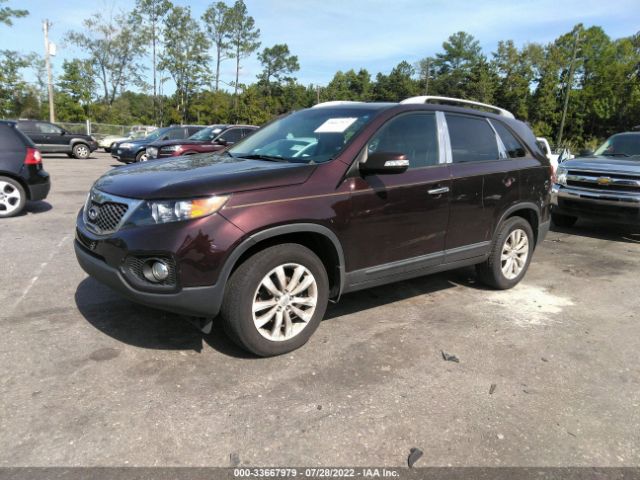 Photo 1 VIN: 5XYKU4A21BG071404 - KIA SORENTO 