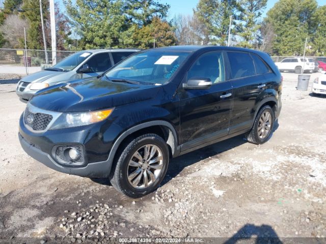 Photo 1 VIN: 5XYKU4A23BG031146 - KIA SORENTO 