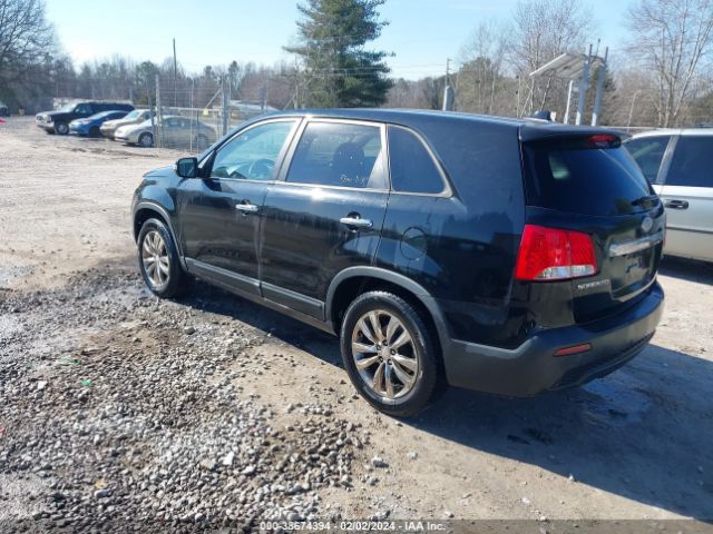 Photo 2 VIN: 5XYKU4A23BG031146 - KIA SORENTO 