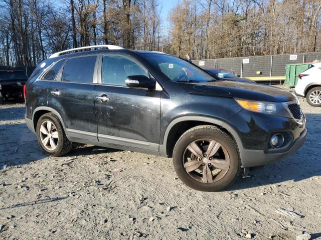 Photo 3 VIN: 5XYKU4A23DG400851 - KIA SORENTO EX 